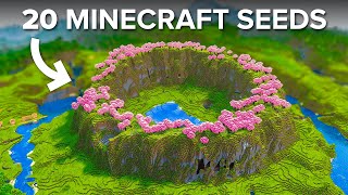 20 Seeds You Must Try in Minecraft 120 [upl. by Tiffa]