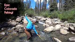 The TOP 10 fishing spots in Colorado  McFly Angler Fly Fishing [upl. by Ahsilrae]