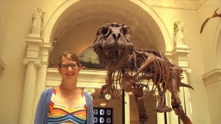 Welcome to The Field Museum [upl. by Anett]