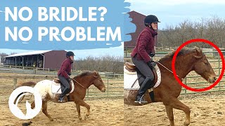 Part 2 HOW TO RIDE A HORSE WITHOUT A BRIDLE [upl. by Silirama]