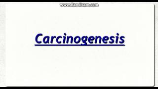 Chemical Carcinogenesis [upl. by Cynthia]