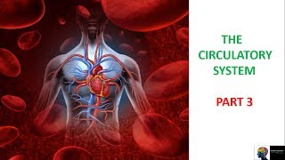 ICSE class 10th Biology Circulatory System Part 3 [upl. by Anewor675]