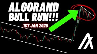 Algorand ALGO Crypto Coin Bull Run [upl. by Ellek]