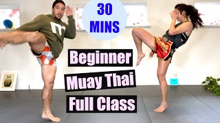 BEGINNER MUAY THAI  Full Class 30 Minutes  No Equipment [upl. by Anner]