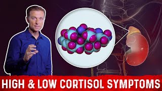 Warning Signs of Low Cortisol Levels [upl. by Dierolf]