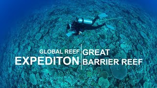 Global Reef Expedition Great Barrier Reef [upl. by Frisse]