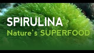 Spirulina  21st Century Superfood [upl. by Vasya]