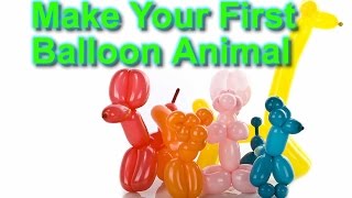 How to Make Your First Balloon Animal  The Beginners Guide to Making a Dog Balloon balloondog [upl. by Nade]