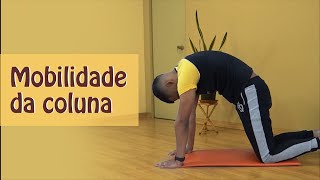 Mobilidade Articular da Coluna  Rodrigo Lopes [upl. by Nyloc]