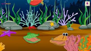 Aquatic Animals  Nursery Rhymes For Kids  Periwinkle [upl. by Yellah]