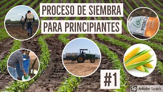 PROCESO DE SIEMBRA DE MAÍZ PARA PRINCIPIANTES 1 [upl. by Ezaria]