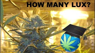 How Many Lux Does Cannabis NEED At Canopy  Digital Illuminance Meters Overview [upl. by Petulia]