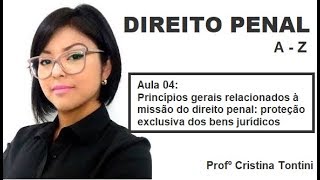 Aula 04 Proteção exclusiva dos bens jurídicos [upl. by Dnalel]