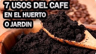 7 Usos Del Cafe En El Huerto O Jardin  La Huertina De Toni [upl. by Annel91]