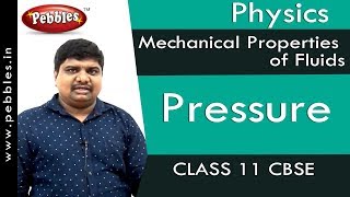 Pressure  Mechanical Properties of Fluids  Physics  Class 11  CBSE [upl. by Sinnylg214]