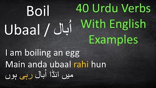 Basic Urdu Verbs with Examples  Urdu Grammar Lesson [upl. by Abbi]