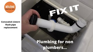 Replacing a concealed Cistern Flush Pipe [upl. by Hegarty]