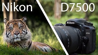 Nikon D7500 Review  Powerful But Not Perfect [upl. by Clifford]