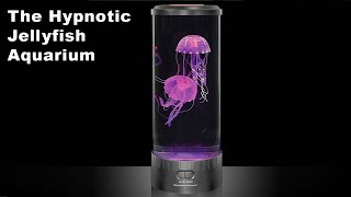 The Hypnotic Jellyfish Aquarium [upl. by Colly245]