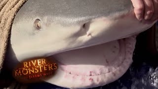 Jeremy Catches One Of The Largest Bull Sharks Ever Caught  SHARK  River Monsters [upl. by Notwal]