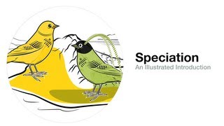 Speciation An Illustrated Introduction [upl. by Brunelle539]