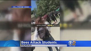 Bees Attack Students [upl. by Jaco]