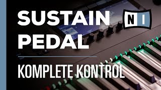 Sustain Pedal Setup  Komplete Kontrol [upl. by Imalda674]