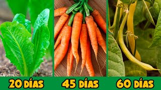 10 VERDURAS para COMER en MENOS de 2 MESES [upl. by Amandie]