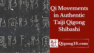 Qigong for beginners Qi Movements theory and the Authentic Taiji Qigong Shibashi system [upl. by Sadirah]