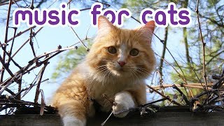 EXTREMELY Soothing Cat Therapy Music  Relax Your Cat [upl. by Lukey438]