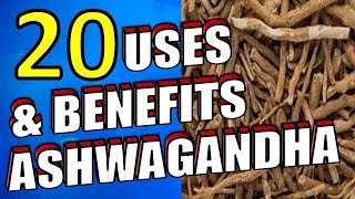 20 Amazing Health Uses amp Benefits of Ashwagandha for Men and Women [upl. by Hgielrac331]