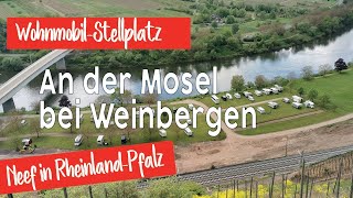 Wohnmobil Stellplatz an der Mosel und Weinberge  Neef in RheinlandPfalz  Camping mit Hund [upl. by Bloxberg]