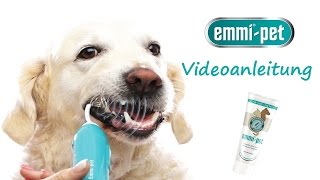 Emmipet Videoanleitung [upl. by Clie]