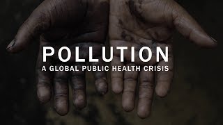 Pollution a global public health crisis [upl. by Aisayn793]