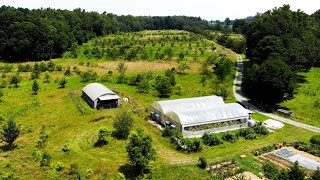 Permaculture Farm  After 12 Years [upl. by Michell]