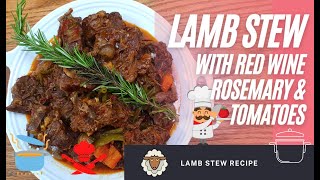 How To Make Lamb Stew  Slow Cooked Tasty Lamb [upl. by Avlasor]