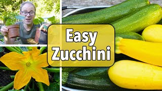 Growing Zucchini Courgettes from Sowing to Harvest [upl. by Ingunna]