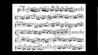 Bach JS violin concerto in A minor BWV 1041 [upl. by Uok]