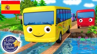 Canciones Infantiles  Diez Autobuses  ¡Y más Dibujos Animados  Little Baby Bum en Español [upl. by Nailimixam]