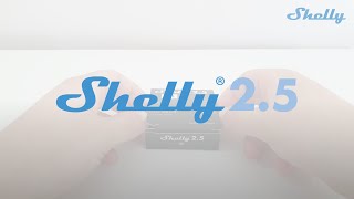 Shelly How to  Shelly 2 5 [upl. by Kaylil705]