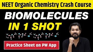 BIOMOLECULES in One Shot  All Concepts Tricks amp PYQs  Class 12  NEET [upl. by Enajharas505]