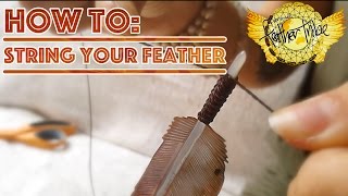 How to Paint Feathers  Painting Techniques for BIRDS [upl. by Leba]