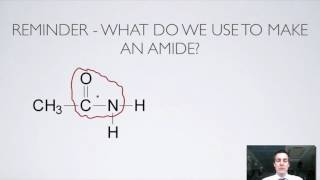 11 Ester and Amide Hydrolysis [upl. by Saixela]