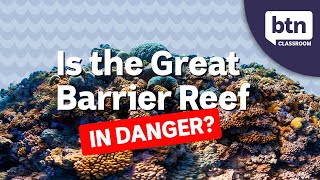 Protecting The Great Barrier Reef  Behind the News [upl. by Ennaerb]