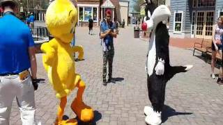 Sylvester and Tweety Fighting [upl. by Larue]