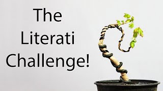 The Literati Challenge [upl. by Sallie890]