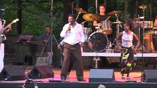 Alemayehu Eshete  5  LIVE at Afrikafestival Hertme 2008 [upl. by Sassan]