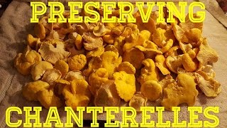 How to preserve Chanterelle Mushrooms [upl. by Knowling680]