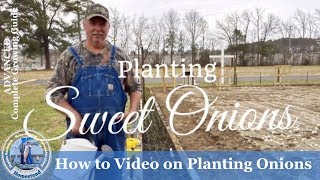 How to Video on Planting Onions [upl. by Kerad]