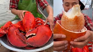 Fisherman Eat Giant Lobster Mukbang  Chinese Seafood Mukbang Show [upl. by Desi119]